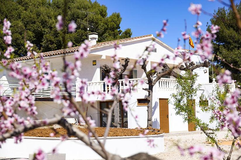 Villa Vintage Les Cases d'Alcanar Ngoại thất bức ảnh