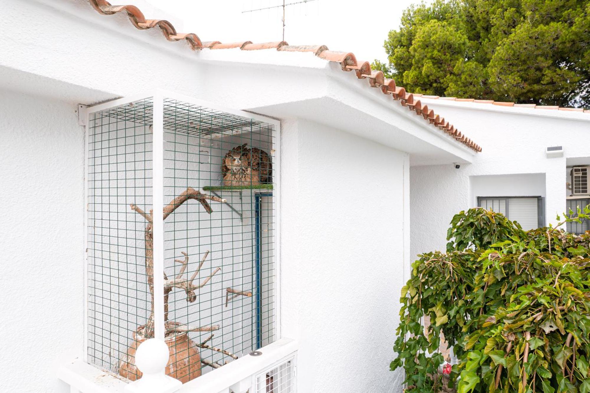 Villa Vintage Les Cases d'Alcanar Ngoại thất bức ảnh